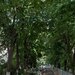Parc I.O.R., apartament 4 camere, 78 mp, etaj 1/4, 2 bai, 5 minute metrou,